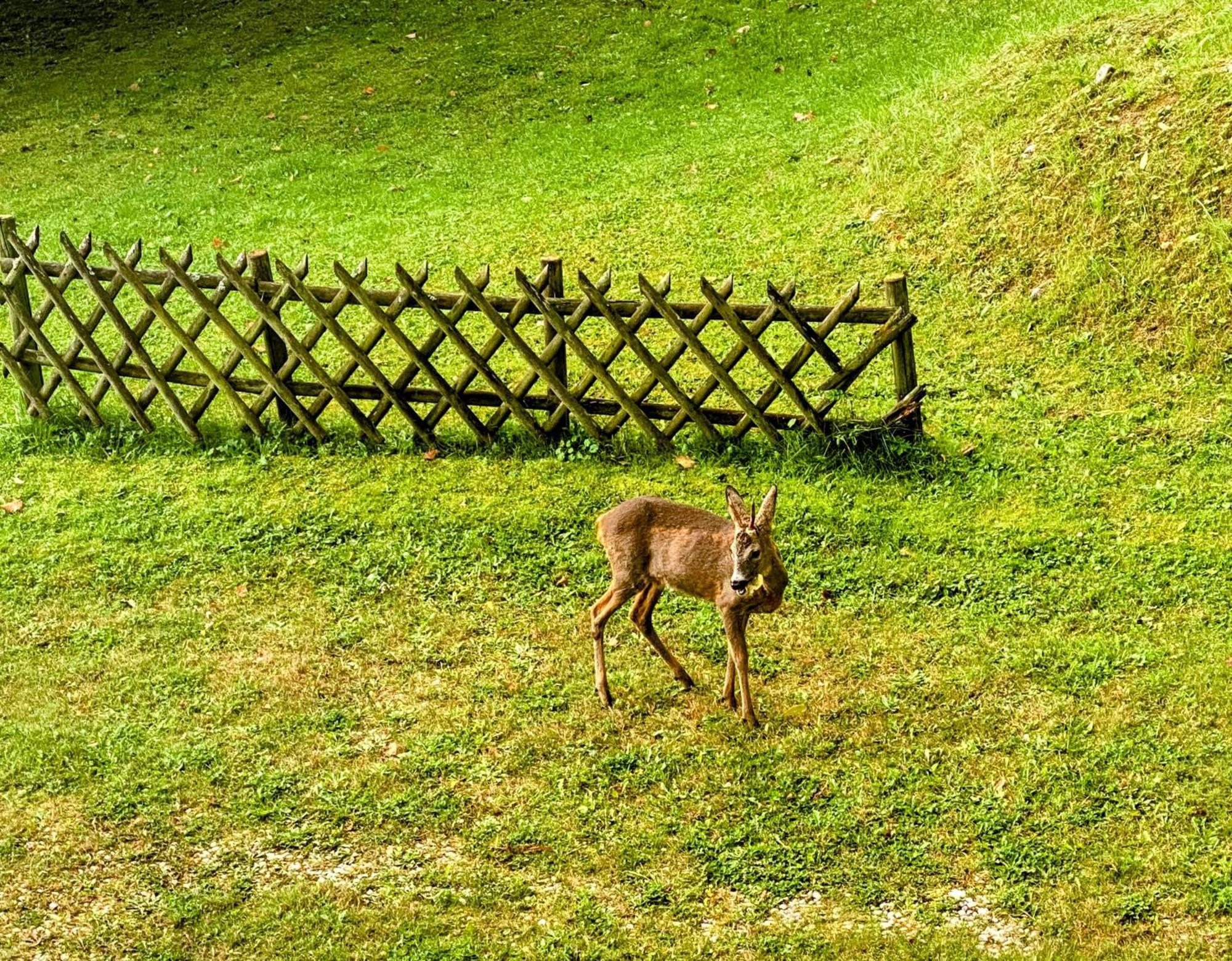 Art In Waldfrieden Apartment Semmering Luaran gambar