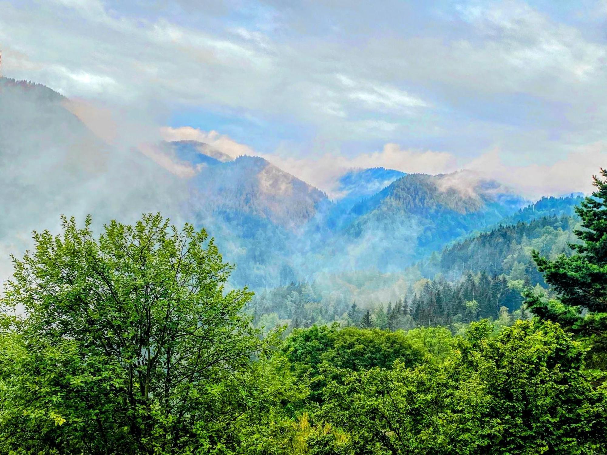 Art In Waldfrieden Apartment Semmering Luaran gambar